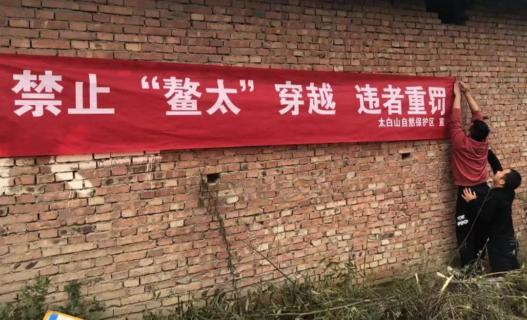 “徒步圈顶流”，中国死亡率最高的“夺命路线”