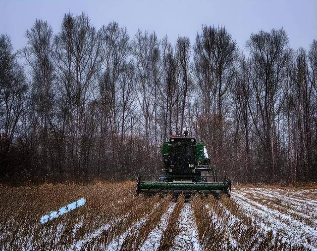 西伯利亚：吃不完的肉 砍不完的森林 挖不完的矿