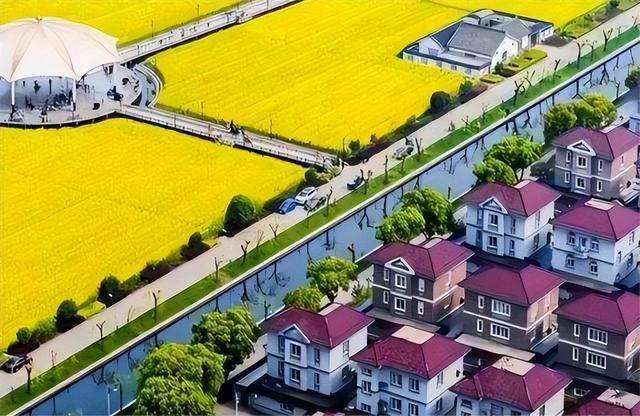 东北最洋气农村：全村都是混血 满口东北话