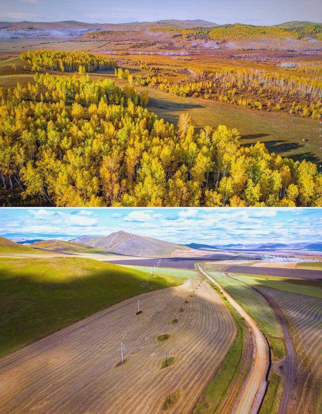 东北最洋气农村：全村都是混血 满口东北话