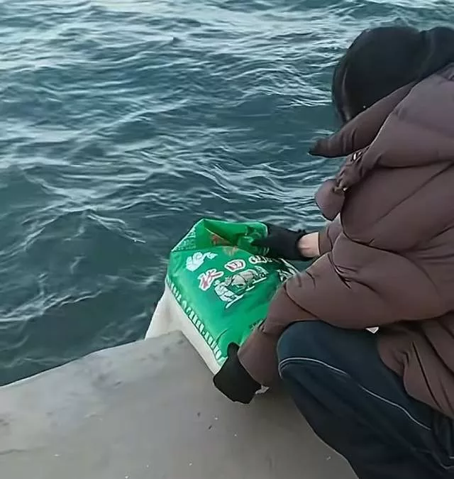 辽宁葫芦岛多人往海里倾倒大米,口中还念念有词