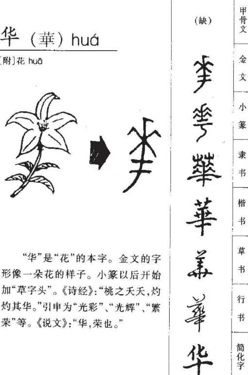 北京卫视2026春晚骏马踏花而过，而「华」是「花」的古字。（图撷自bilibili）