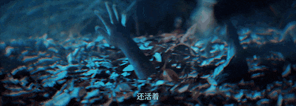 文章配图-22