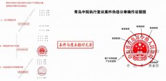 落马高官女婿的空壳公司，如何“合法”夺走一